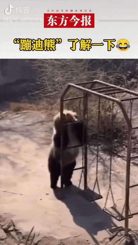 黄鼠狼在超市偷东西,黄鼠狼超市偷火腿肠