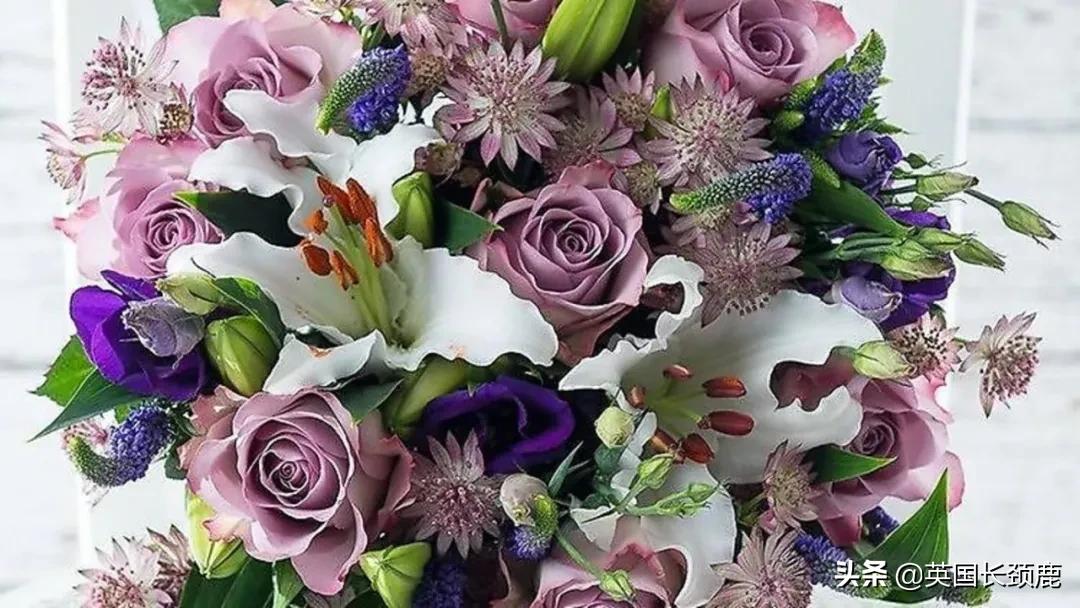 情人节来了怎么少的了fafa？英国鲜花速递服务大盘点：浪漫满分