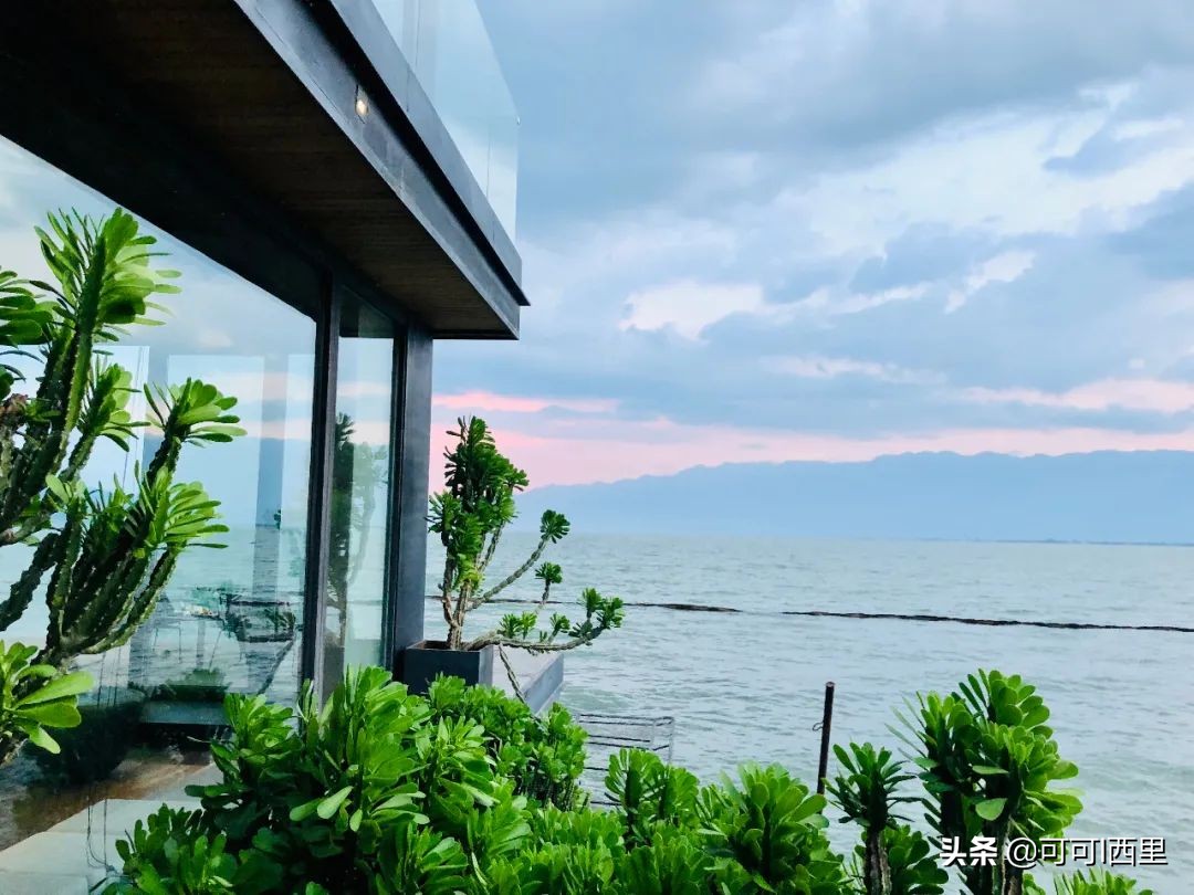 知足不常乐议论文600字,知足不知足诗词