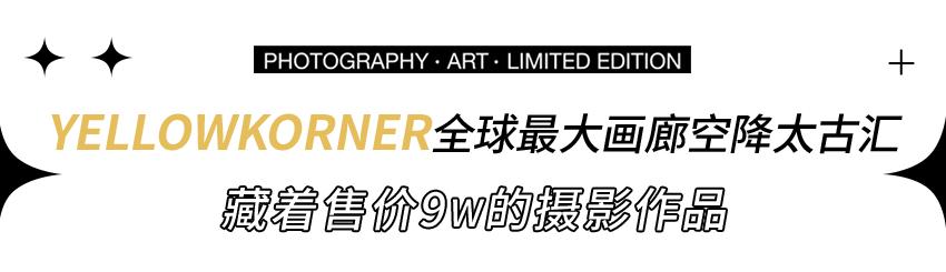 鍏ㄤ笘鐣屾渶澶х殑鐢诲粖,yellowkorner鍏翠笟澶彜姹囧簵