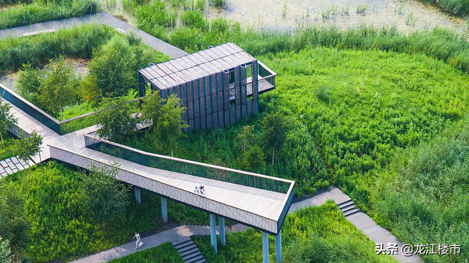 哈尔滨群力东买房值得入手吗,太纠结了买帝豪还是买迈巴赫