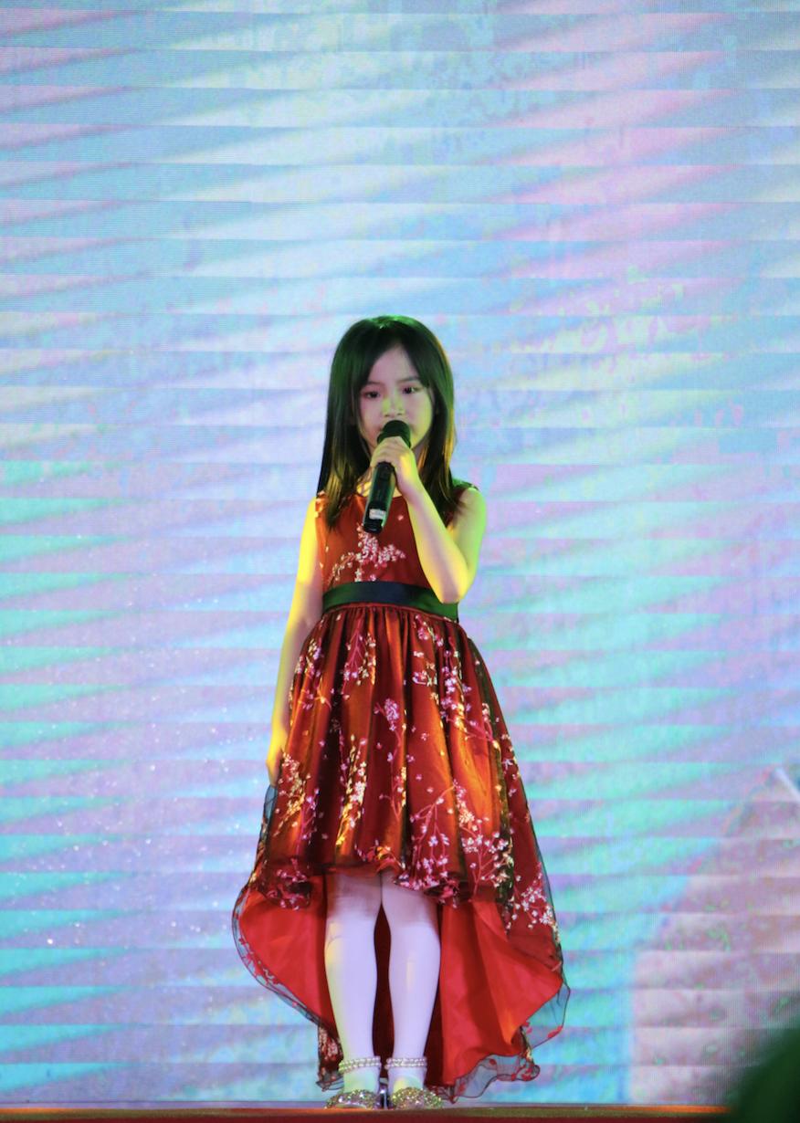 群星璀璨盛典,群星璀璨新年献礼