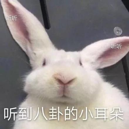 乔欣到底多有钱,乔欣到底有多少风衣