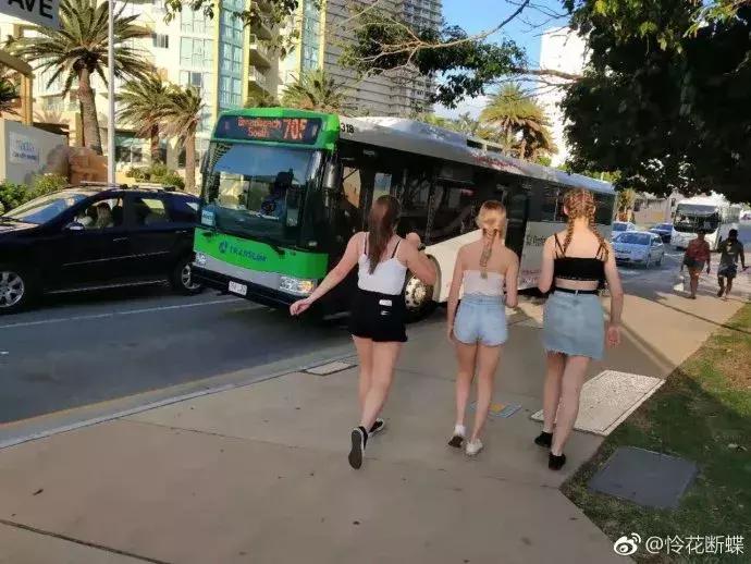 澳大利亚旅游抱考拉,麻麻游记视频大全