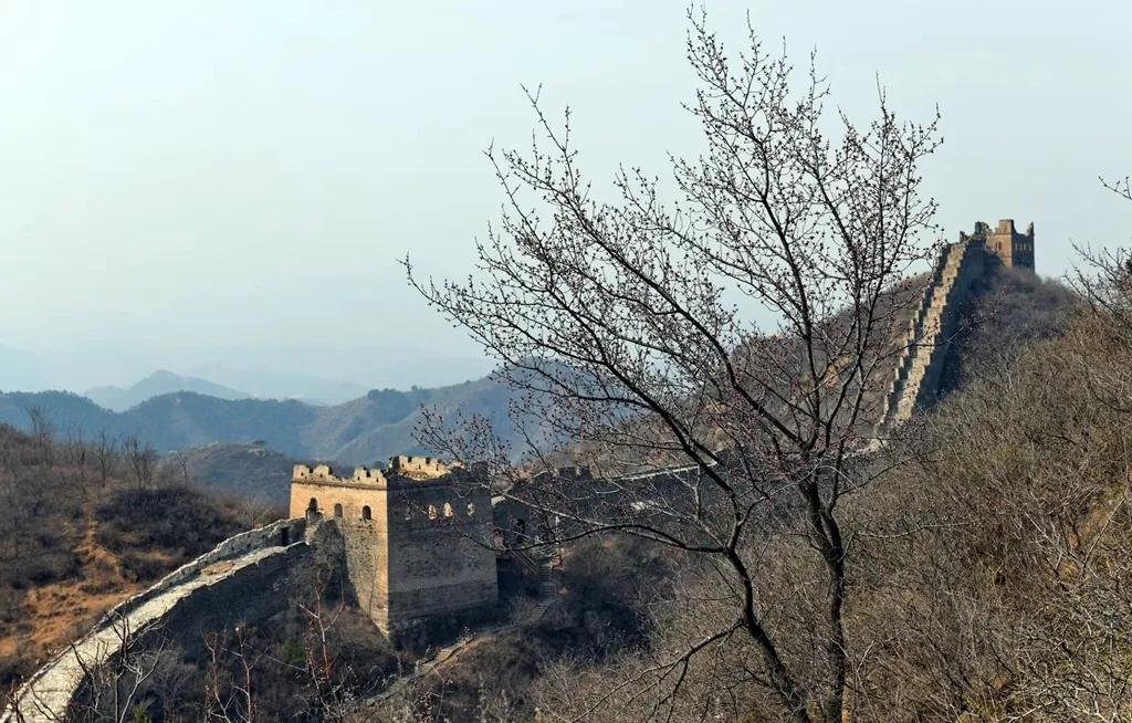 云游江山赏美景,云游花花世界欣赏杜鹃花