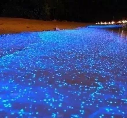 双月湾君廷度假酒店团购直播,惠州双月湾君廷海景房酒店推荐