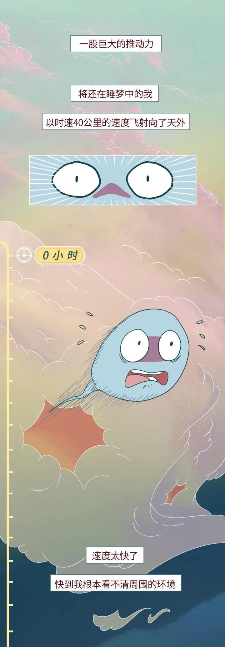 绮惧瓙杩涘叆浜轰綋1灏忔椂鍙樺寲,绮惧瓙杩涘叆浜轰綋48灏忔椂鍙樺寲