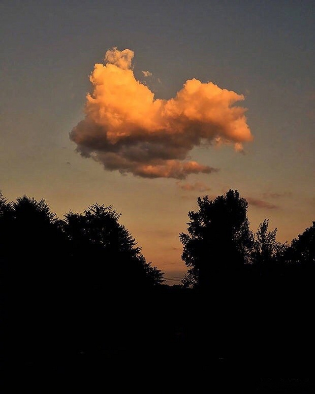 非诚勿扰情商低的话,非诚勿扰每个人要做一个独立的人