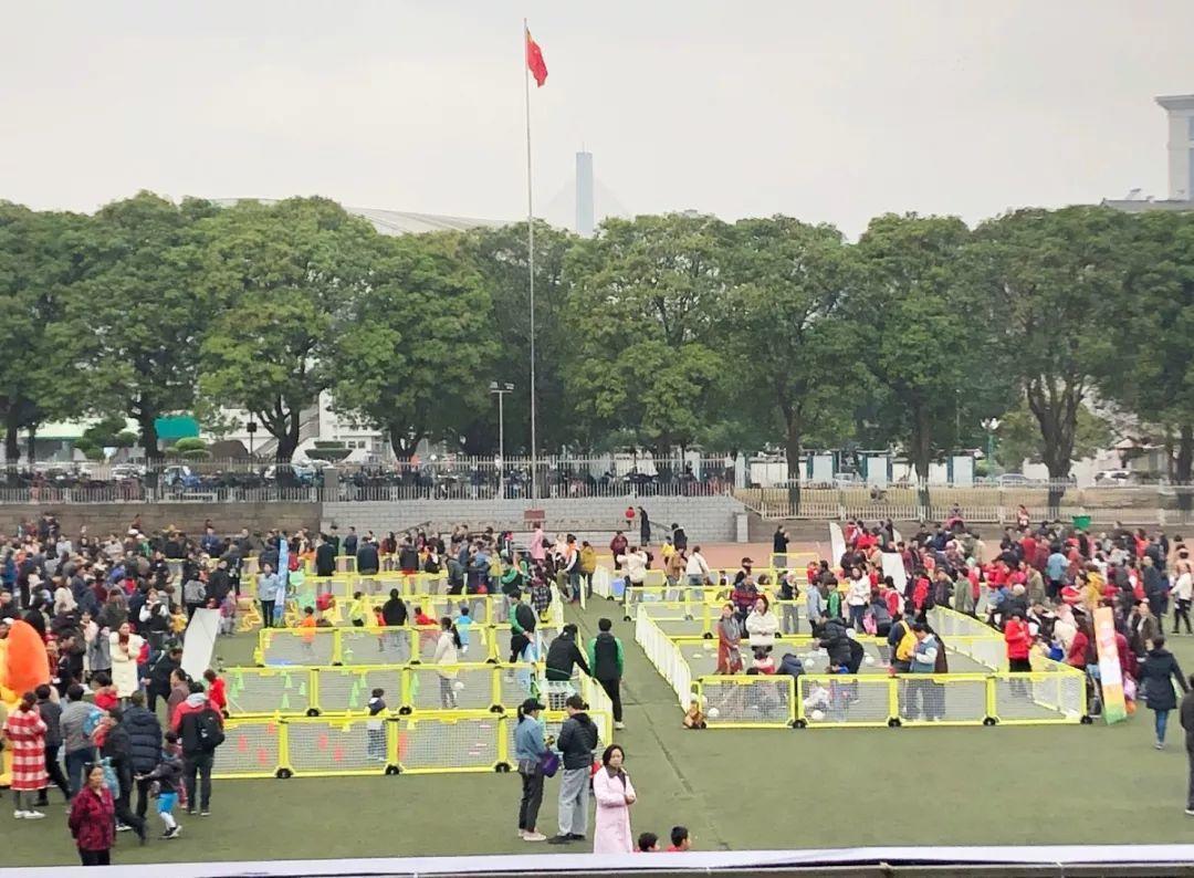 派迪茵体育有限公司,派迪茵体育直播