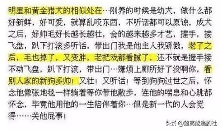 明星开网约车的综艺节目,综艺网约车