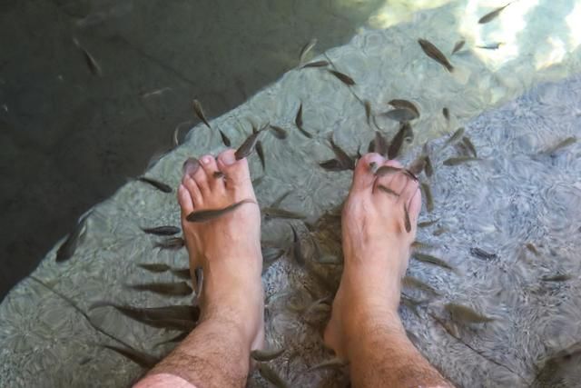 汕头潮阳区蓬莱仙境,潮州蓬莱岛旅游