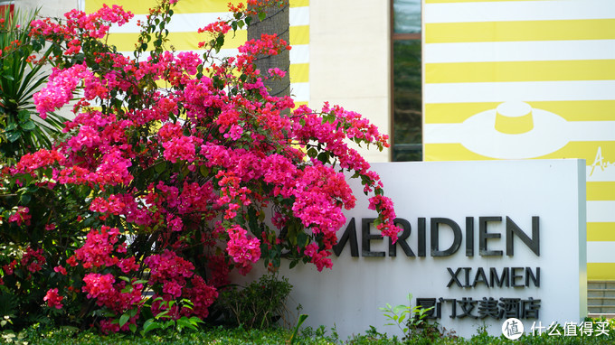 闅愪簬灞辨捣,闅愪簬灞辨捣涔嬮棿