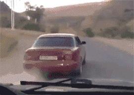 搞笑动图gif表情包可爱,搞笑动图gif微信可爱表情包