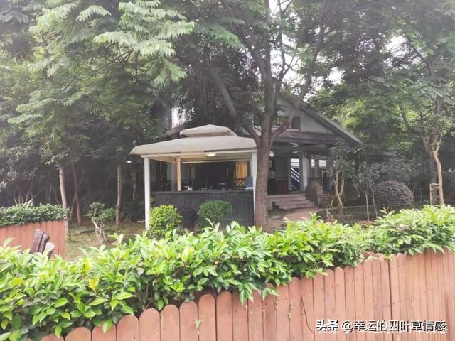 快递没收到却已被签收怎么办,网友买的货没收到