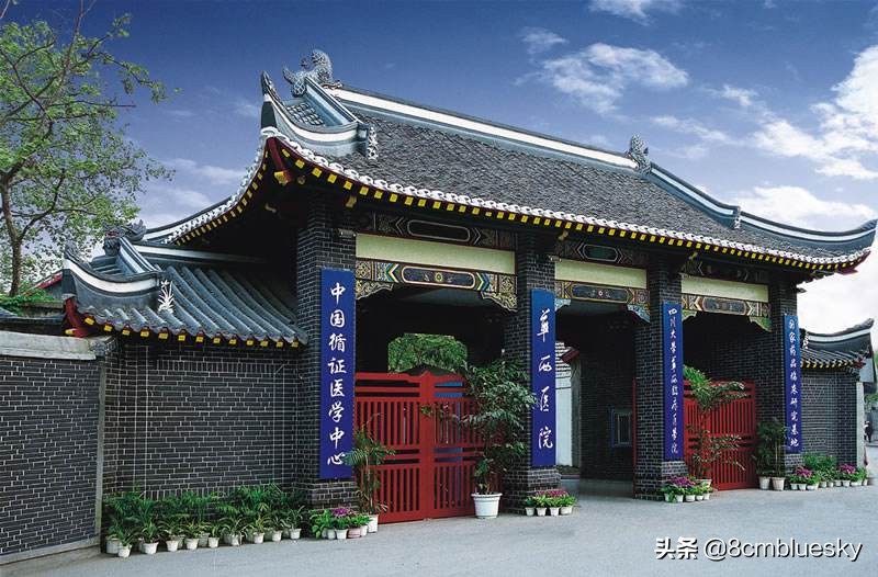 学医不代表什么都懂,学医不从医好吗