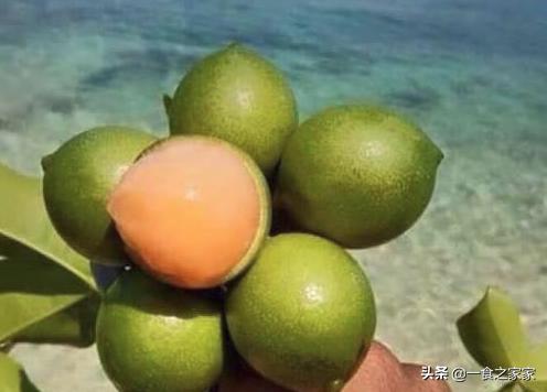 十种顶级水果排行,十种最顶级的水果