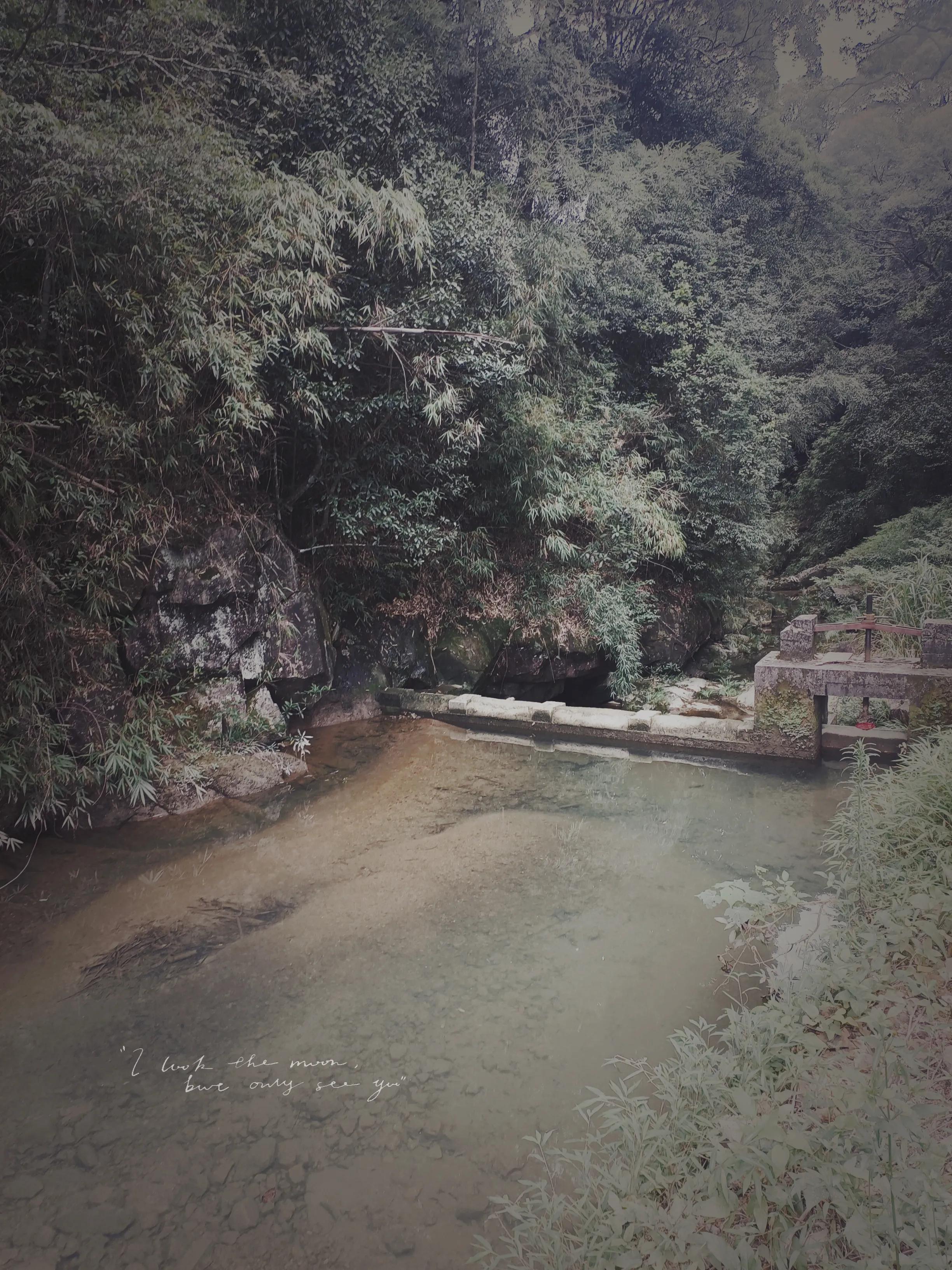 乘公交去乡下:广州海拔最高的村落-阿婆六村