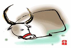 属相与婚姻并没有直接的关系,以属相决定婚姻方向的依据是什么