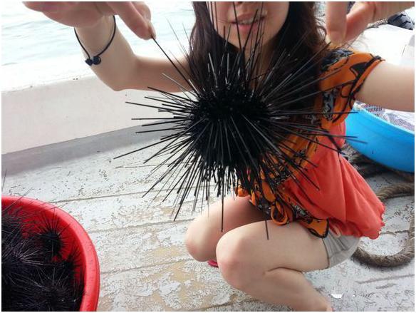 看图识海鲜，这些水产海鲜你都认识吗？