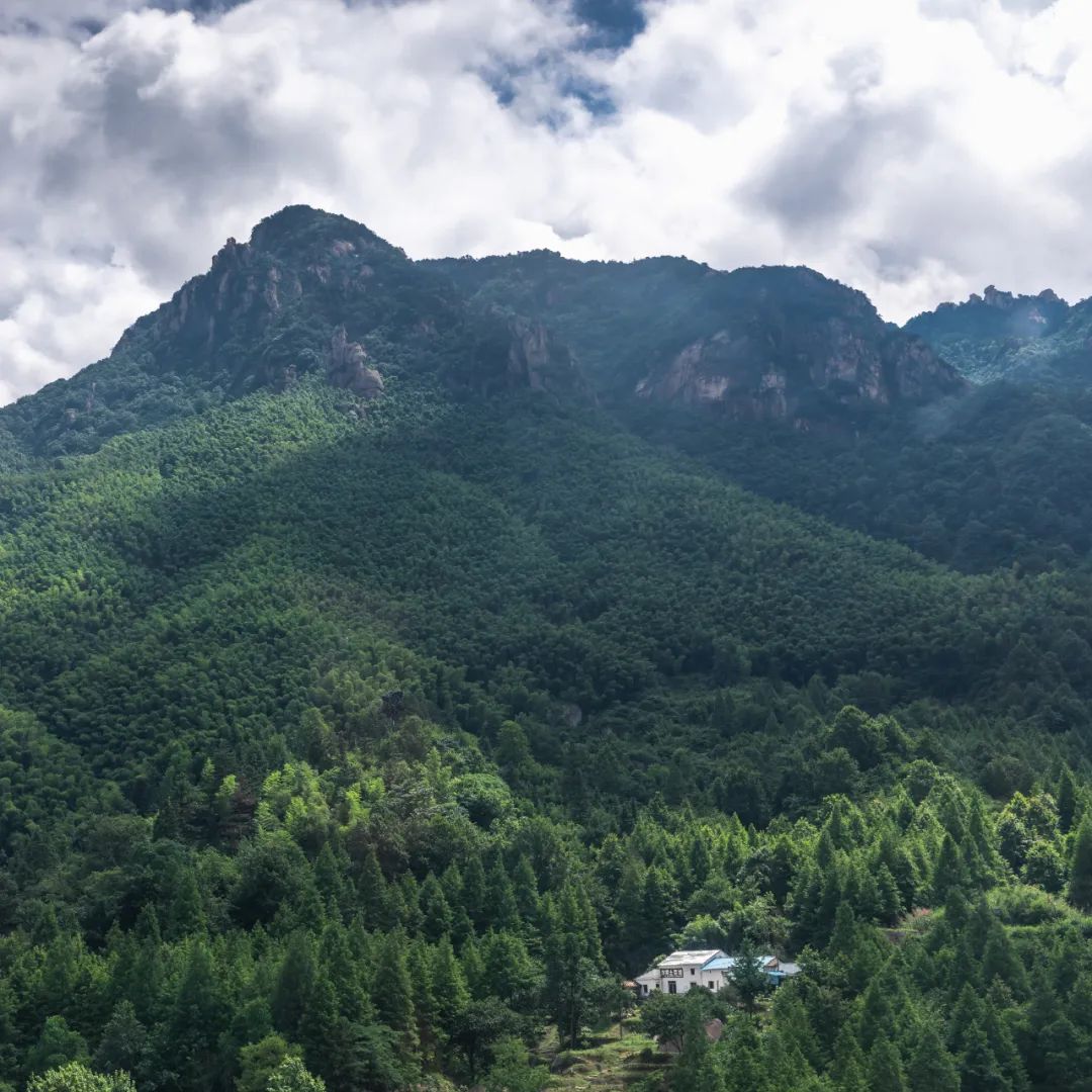 我国四大名山九华山,四大佛教名山哪个风景最美