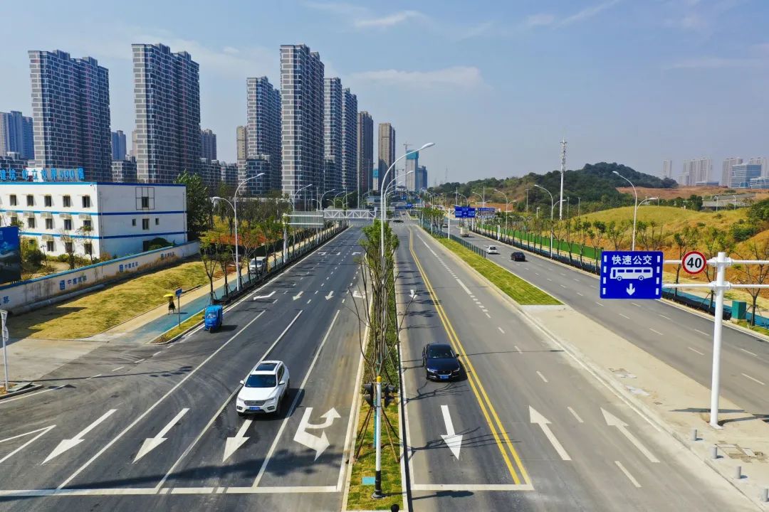 开挂了！比肩世界的爆款区域利好多到数不清！一般人已高攀不起