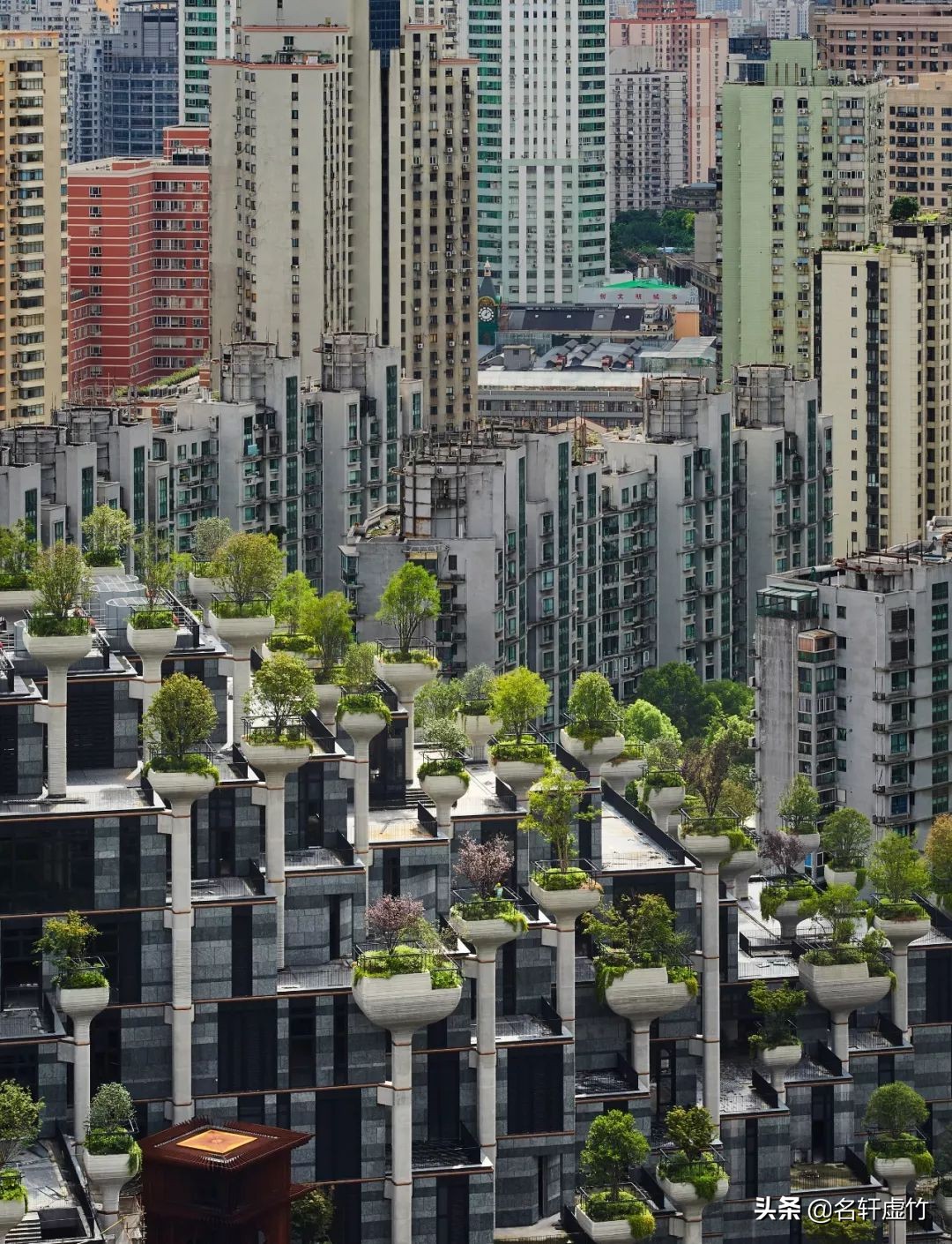 上海苏州河天安千树公园,天安千树苏州河畔空中花园