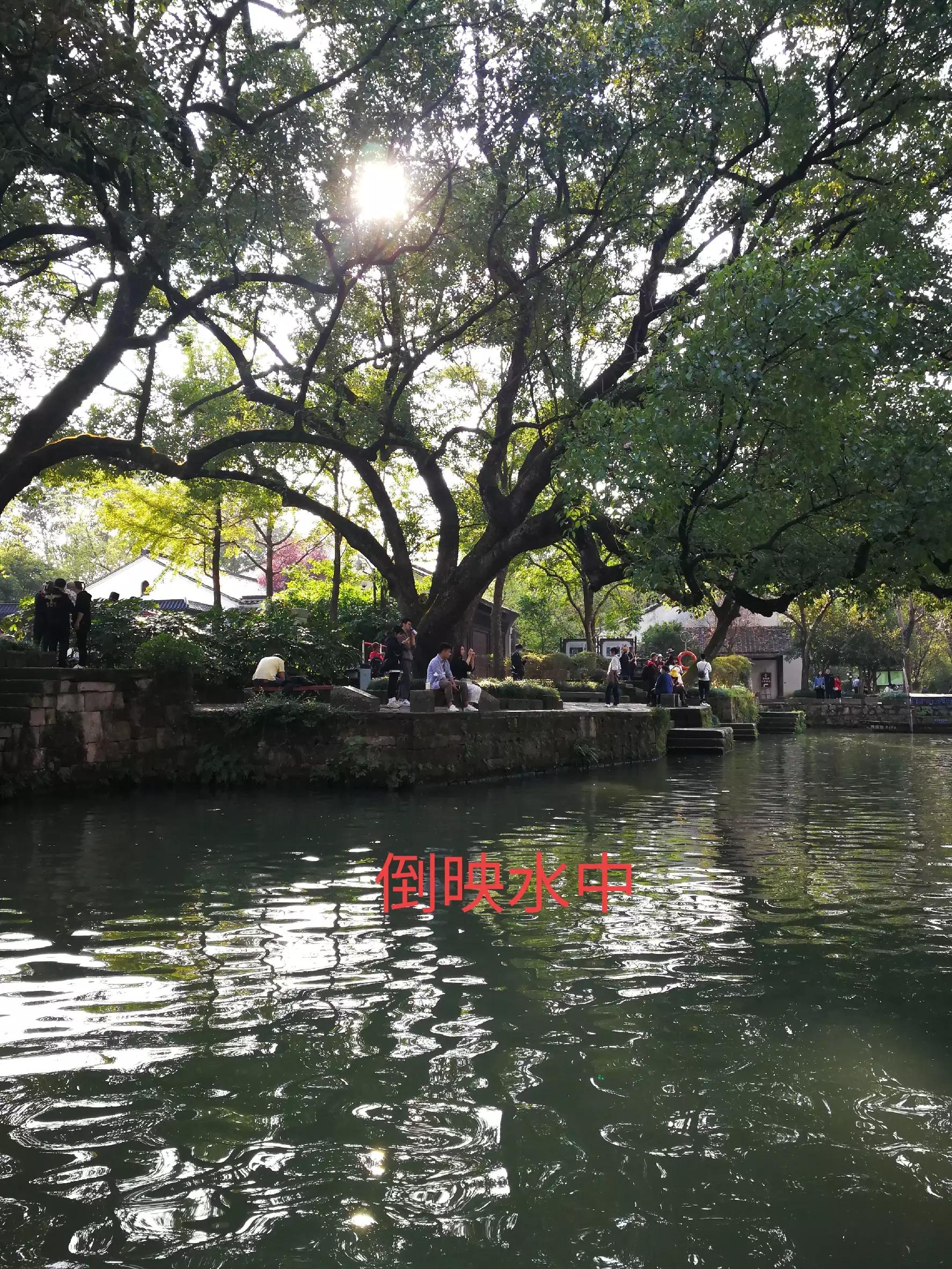 游览杭州西溪湿地,荡漾在四通八达的河道上,沁人心脾,一起看看