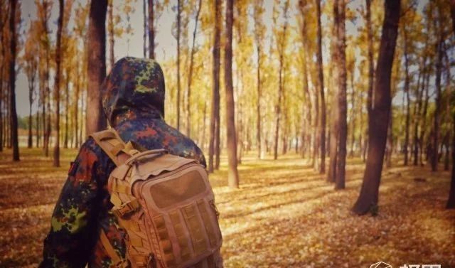 非主流也有春天,德斑迷彩最佳搭配