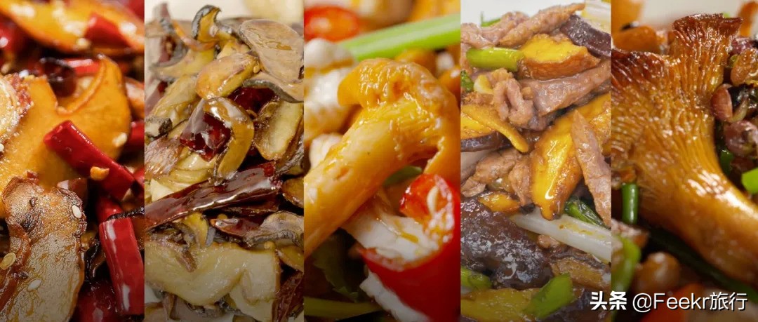 挖到了云南人都点赞的“美食线路”!菌子当道,夏季去度假正好