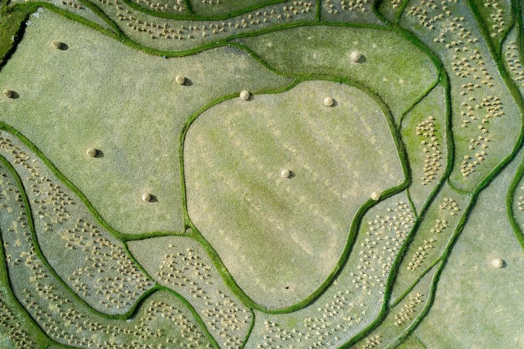 贵州速度，蔚为大观