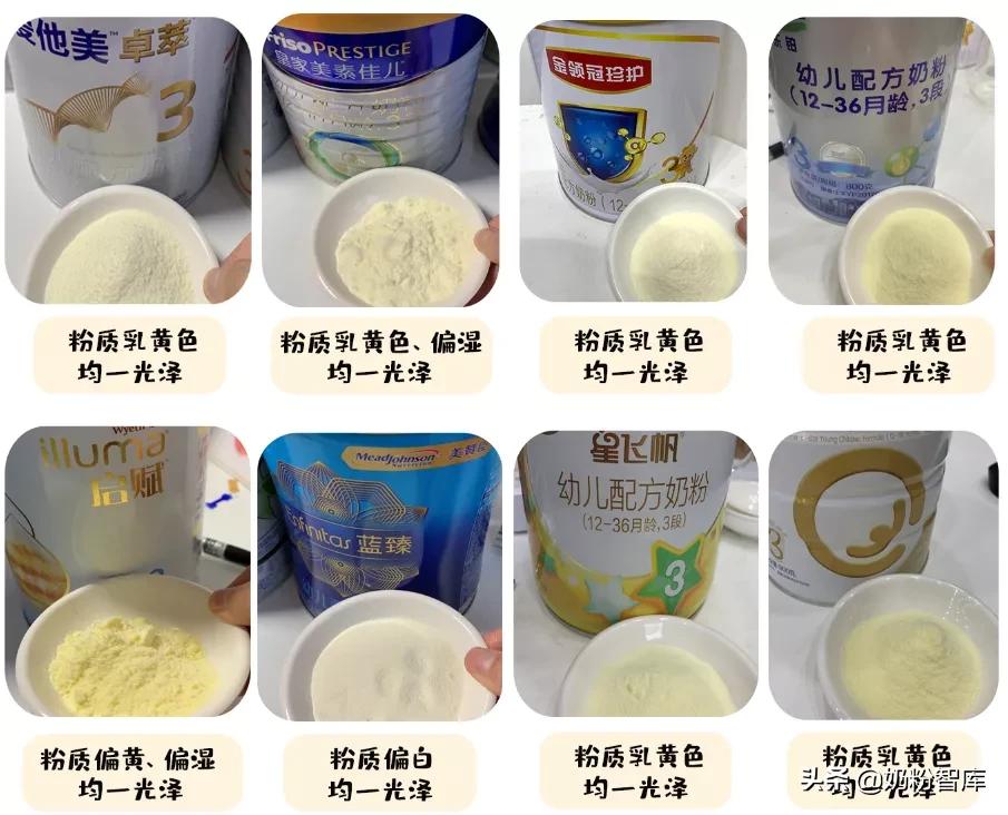 金领冠和飞帆哪个奶粉好,星飞帆和珍护奶粉哪个好