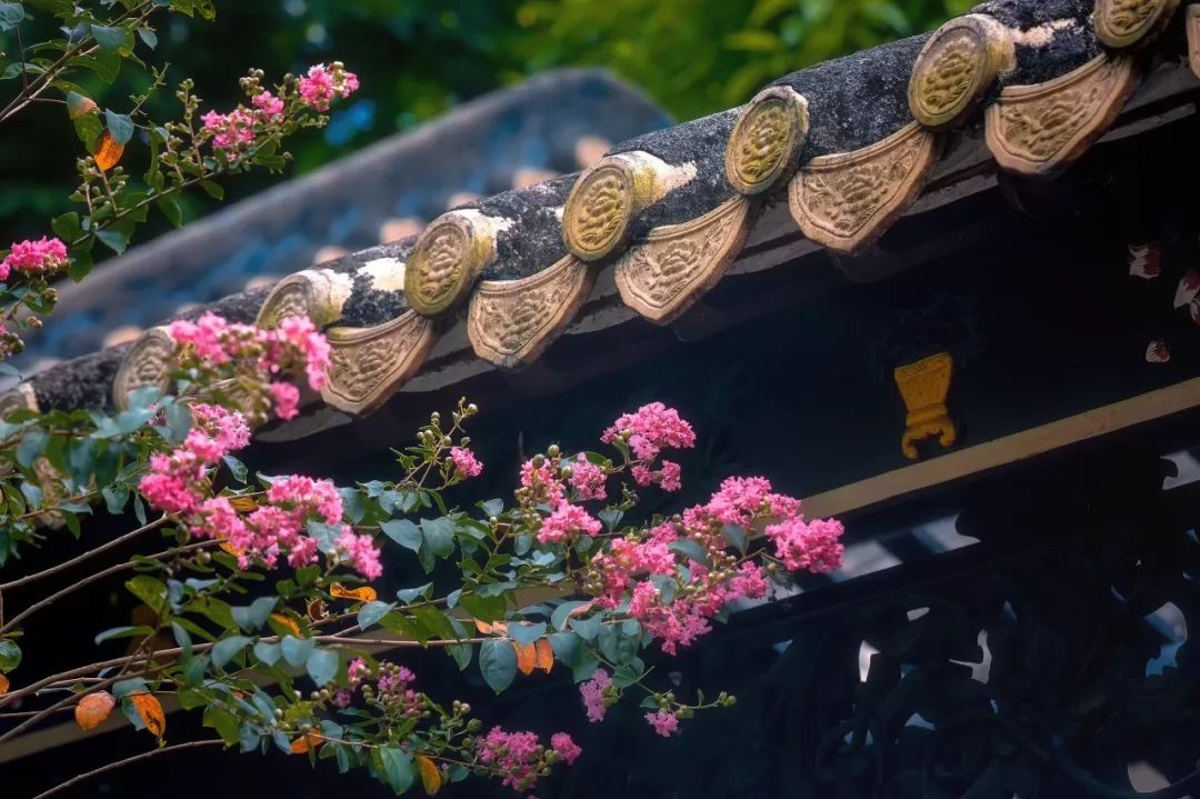 一日游重庆火锅去哪吃,旅行火锅吃法大全