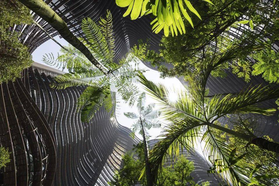 西部世界第四季建筑,西部世界第三季彩蛋解析