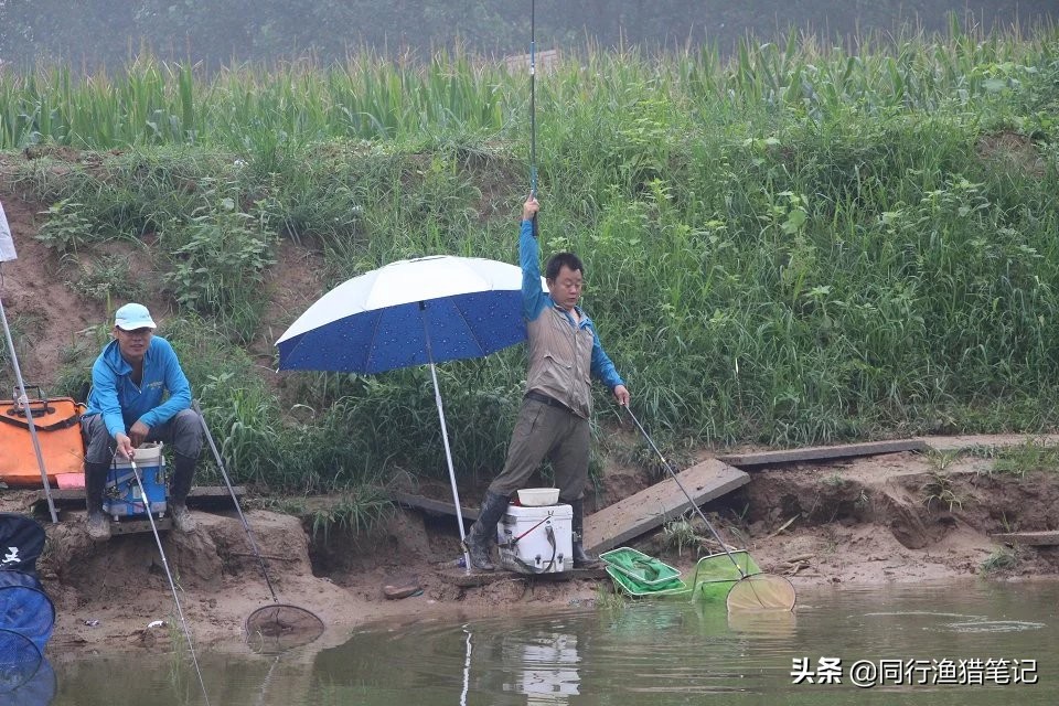 黑坑撒化肥,大多数钓友抱憾而归,唯独他狠狠给老板上了一课