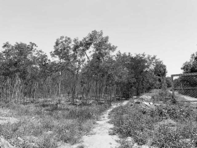 绗涗笢鑷诲搧浜戞箹鍗侀噷,绗涗笢鑷诲搧