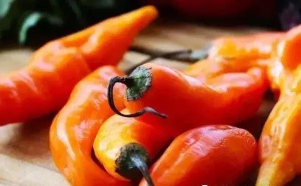 全世界辣椒排行榜前十,世界上十大辣椒排行榜