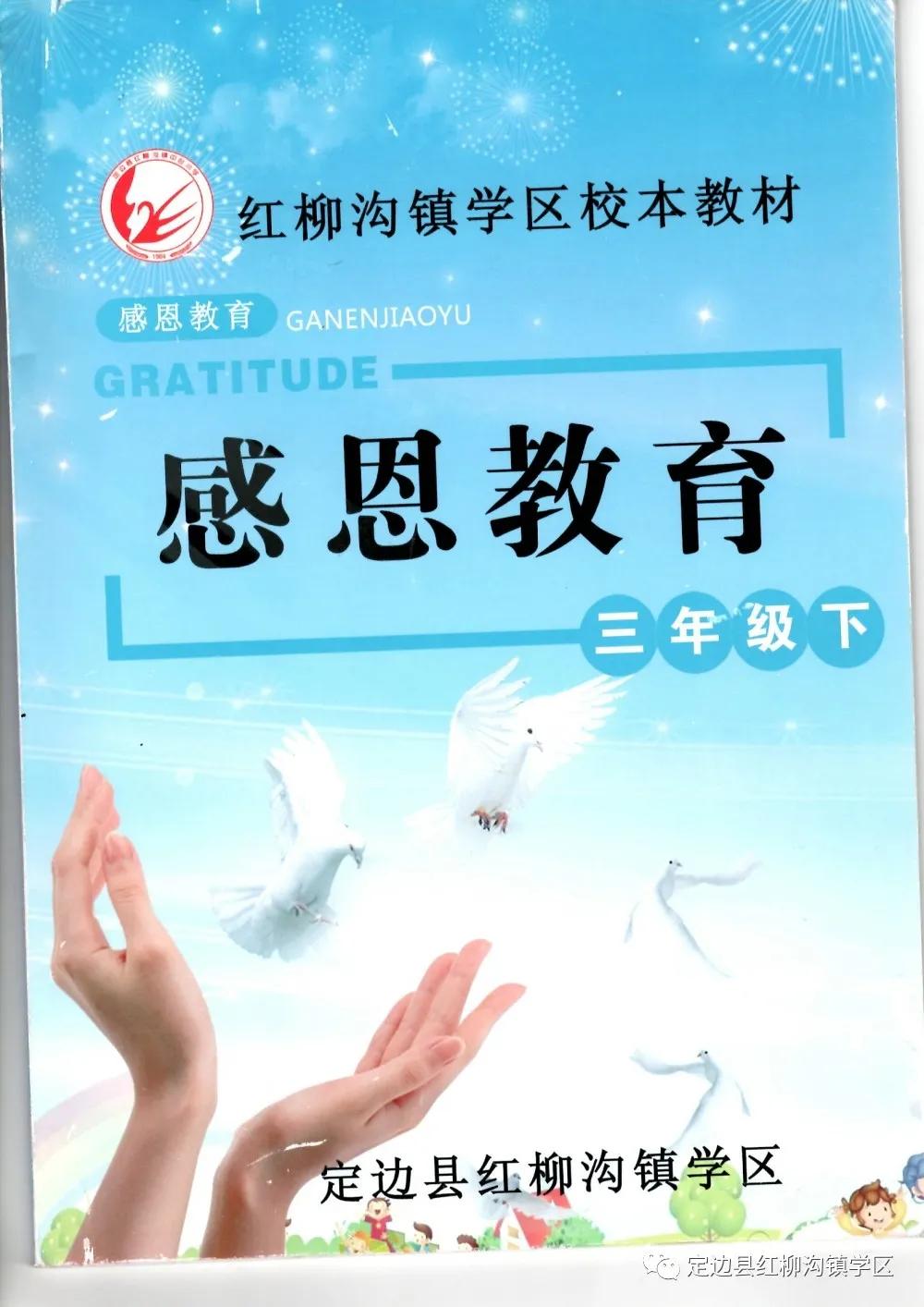 以爱育爱共筑梦想——定边县红柳沟镇学区发展纪实