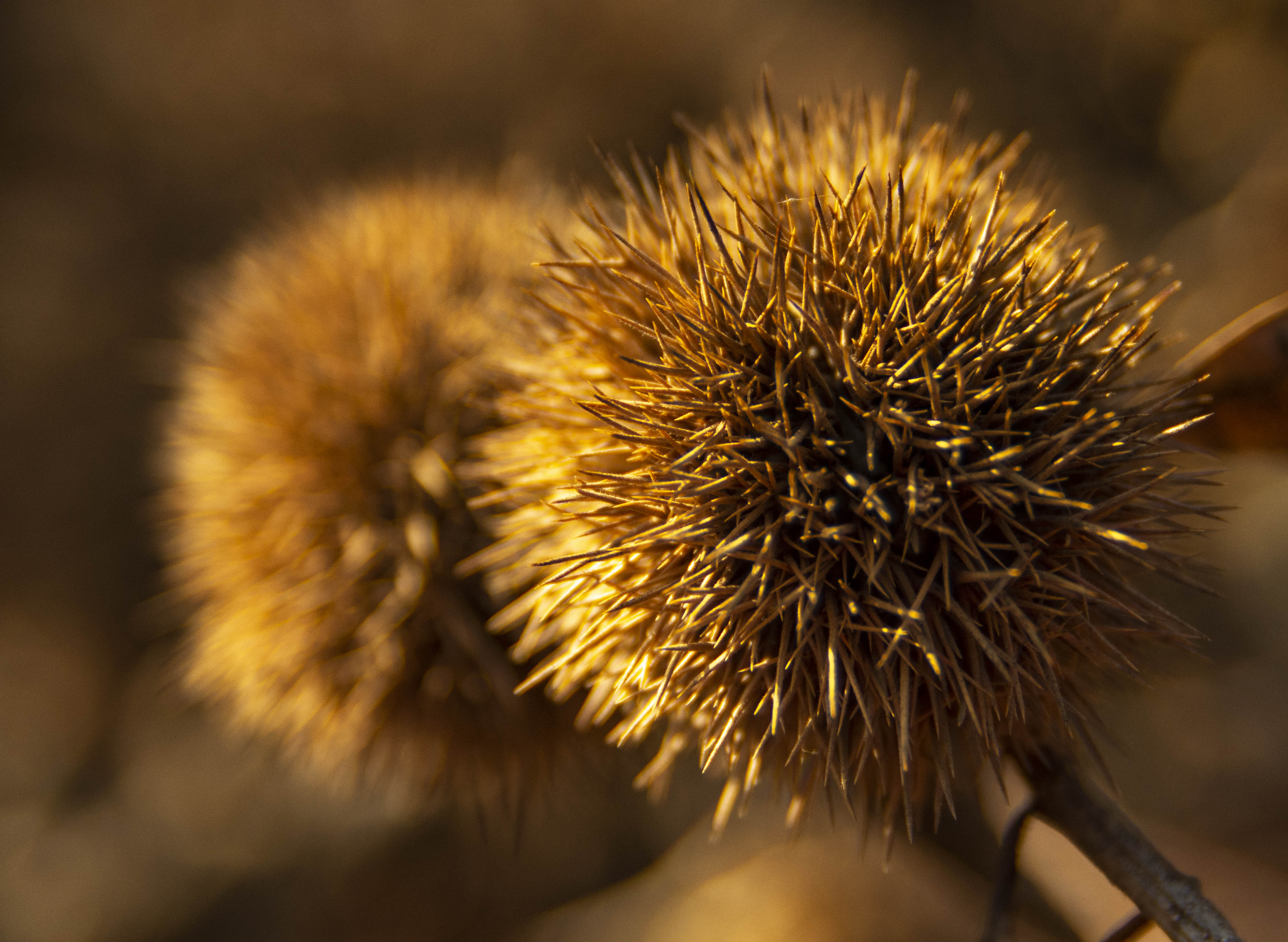 塞外江南处处是美景,塞外风光江南水乡