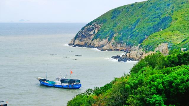 福鼎旅游数据,福鼎纪录片