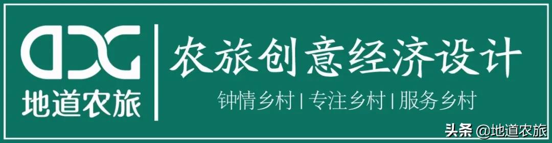在乡村振兴中发挥雁阵效应,湖南鹊山模式培育乡村振兴领头雁