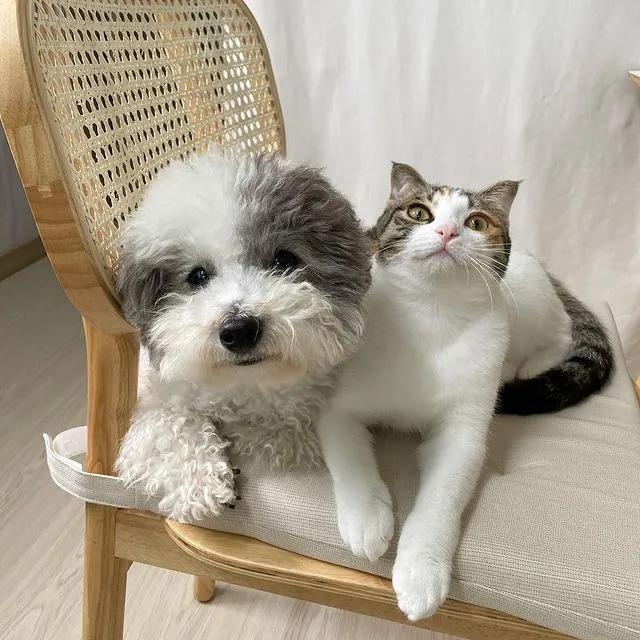 tony老师高阶换头术,90后tony老师换头术