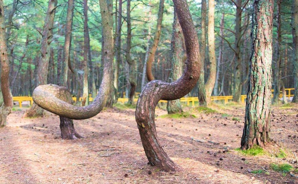 未解的世界难题,未解的世界之谜