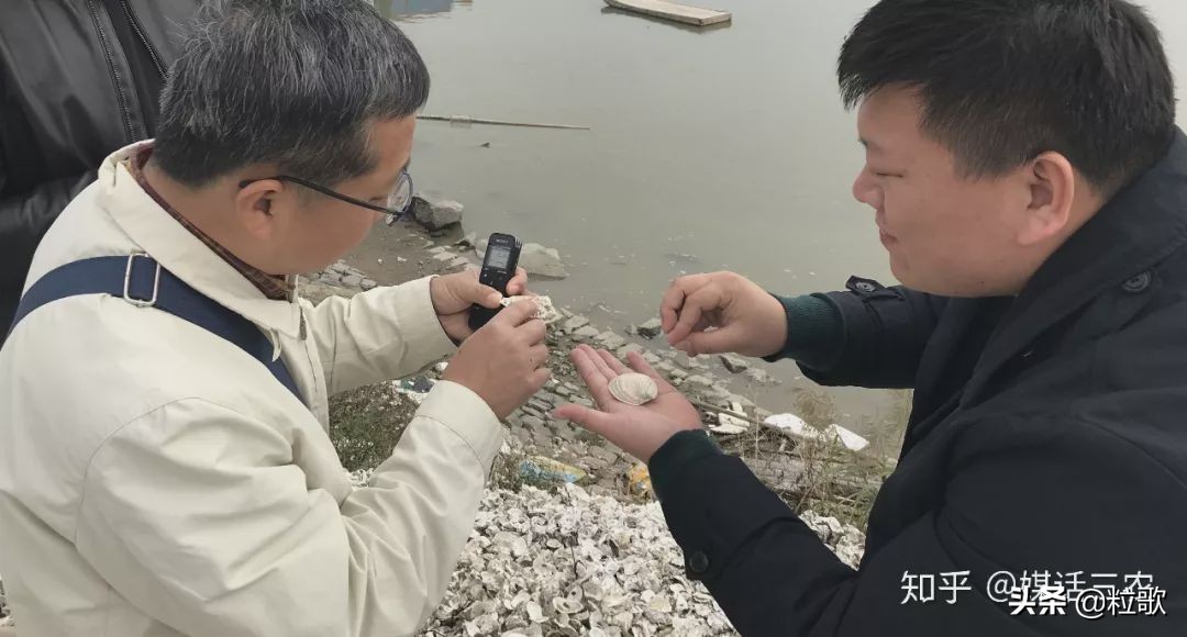 玛塔牡蛎钙对盐碱地的作用,玛塔牡蛎