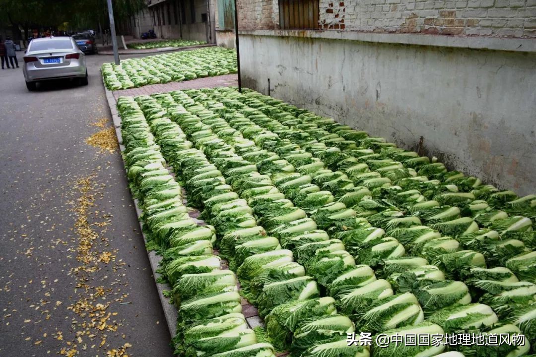 东北三省哪里的饺子好吃,东北的特色饺子