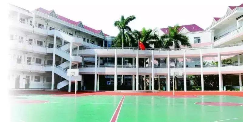 深圳春蕾小学学的什么教材,深圳春蕾小学值得去吗