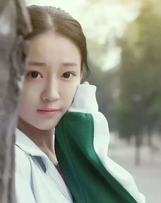 绿地事件法律分析,绿地案件始末