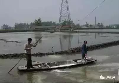 淡水白鳗病怎么治,鱼苗白嘴病的治疗