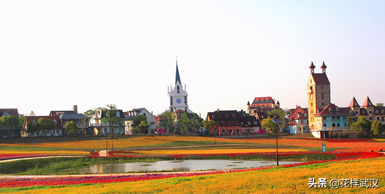 武汉花博汇一天游玩大概多少钱,武汉花博汇值不值得玩