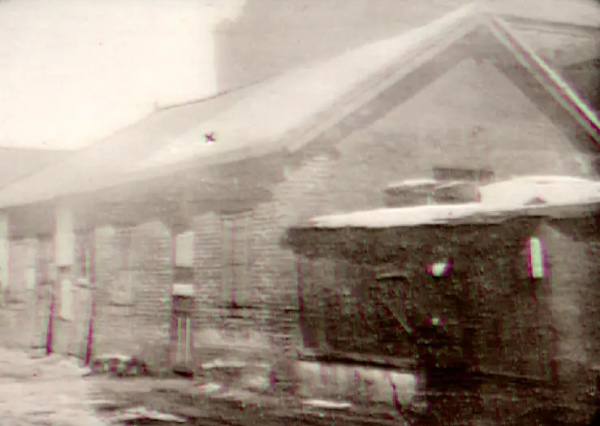 伍连德防治鼠疫为何成功,伍连德抗鼠疫共几年