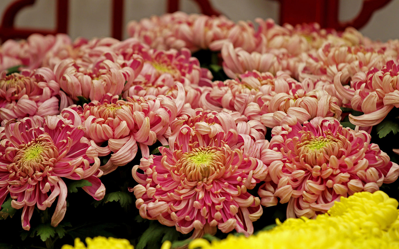 带玉的女宝名,带圆字的女孩名字大全